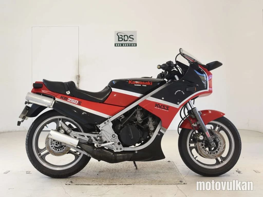Kawasaki KR250S