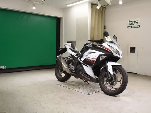 Kawasaki Ninja 250 Art. 2366