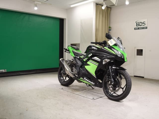 Kawasaki Ninja 250 Art. 3041