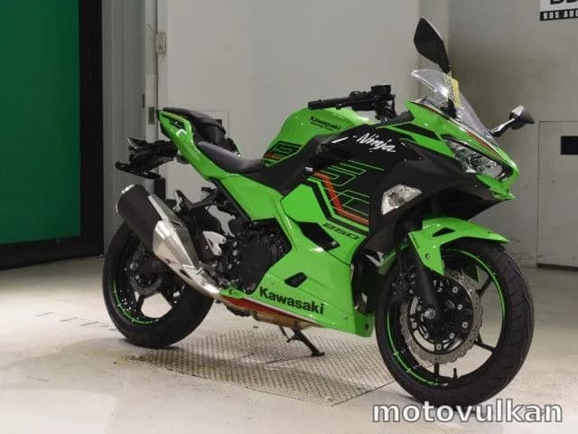 Kawasaki Ninja 250 Art. 0674